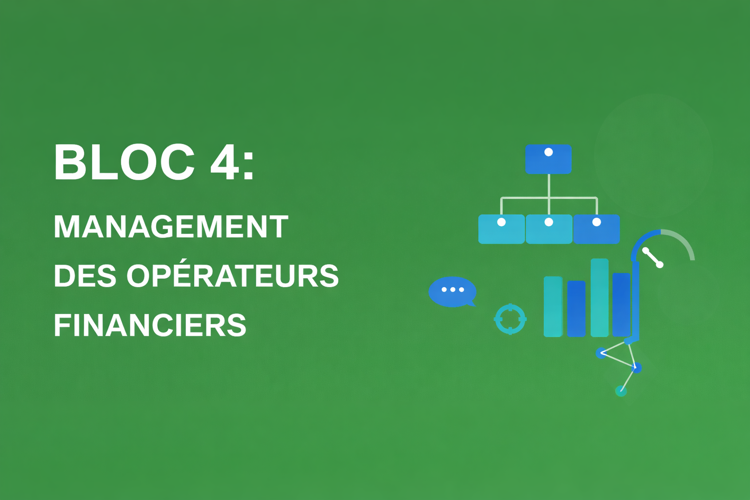 Mastère - BLOC 4 : Management des opérateurs financiers ESG04