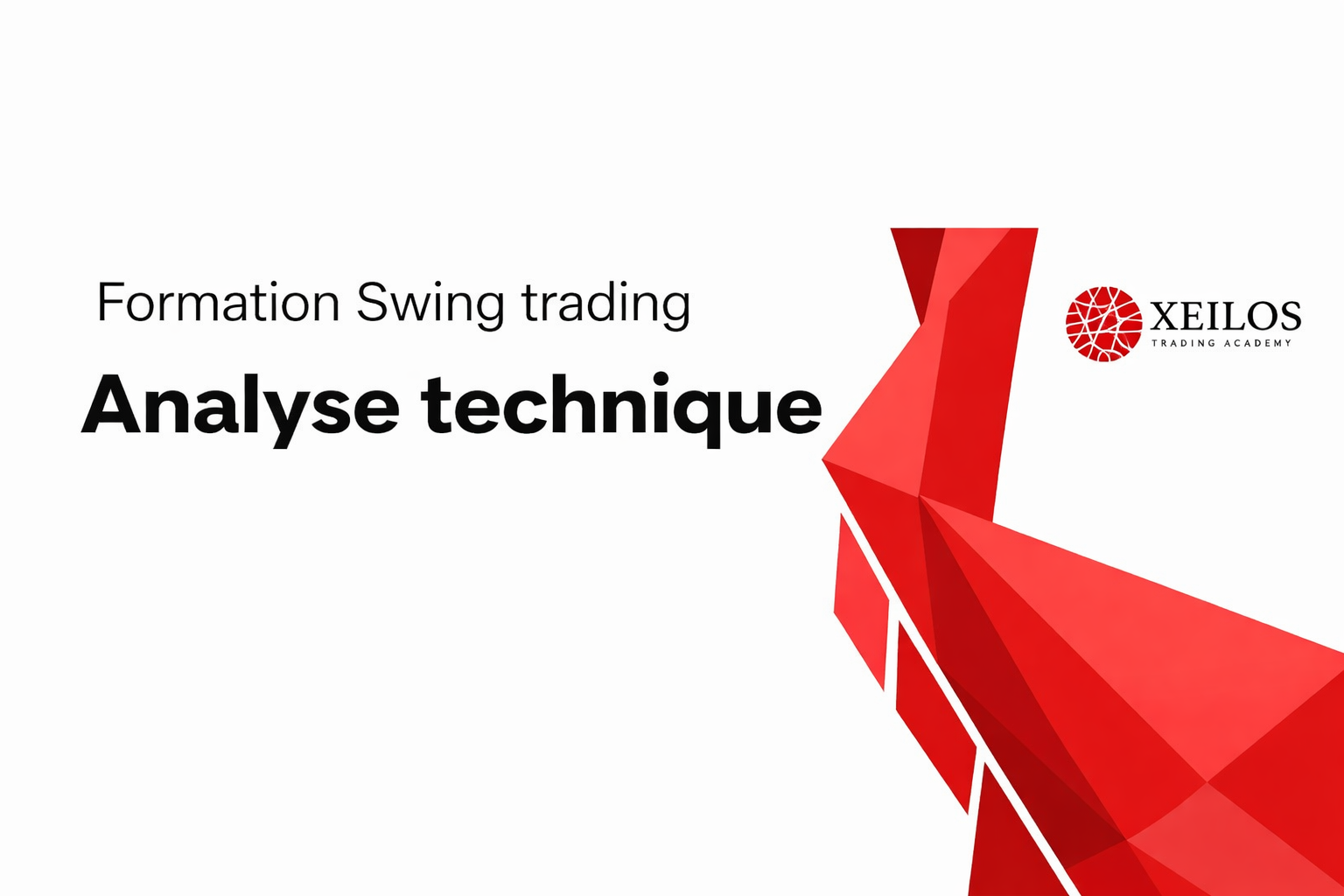 Formation Swing Trading et Analyse Chartiste TRADE102